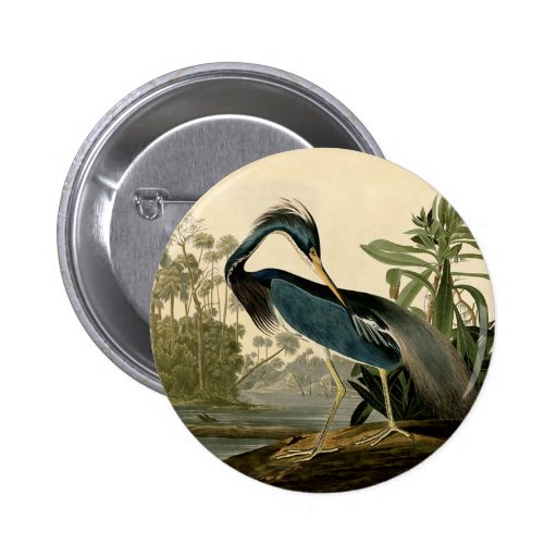 Garza de Audubon Luisiana Pin