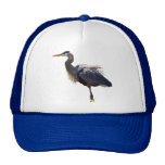 Garza de gran azul gorros bordados