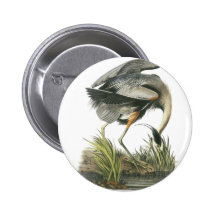 Garza de gran azul, Juan Audubon Pins