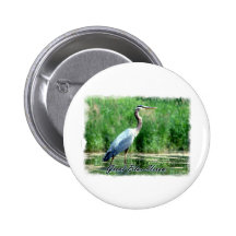 Garza de gran azul pins