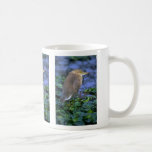 Garza de la charca (pájaro del arroz) taza
