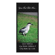 garza de noche Negro-coronada Tarjetas Publicitarias