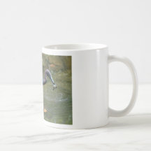 Garza de pequeño azul con los cangrejos taza