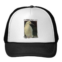 Garza Gorro De Camionero