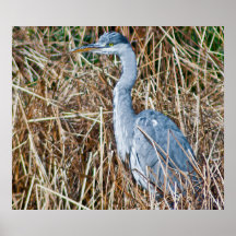 Garza Impresiones