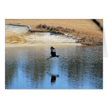 Garza que disfruta del campo de golf tarjeton