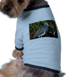 Garza tricolora camisa de mascota