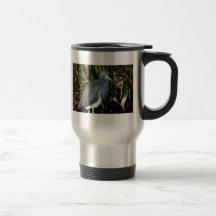 Garza tricolora taza de café