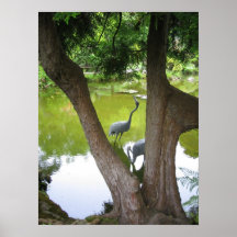 Garzas Poster