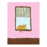 Gatito amarillo en una postal de la ventana