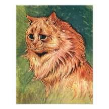Gatito anaranjado del gato del pelo largo magnífic invitación