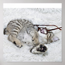 Gatito con los vidrios poster