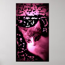Gatito cristalino posters