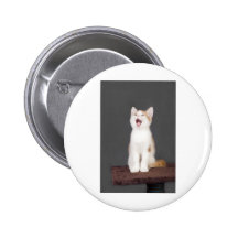 gatito de bostezo pin