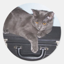 Gatito de Buisiness Pegatinas