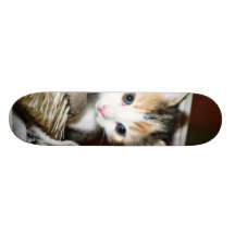 Gatito de exploración patines 