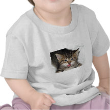 Gatito de griterío camisetas