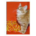 Gatito de Halloween Felicitacion