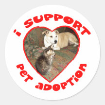 Gatito de la adopción del mascota con el pitbull etiqueta