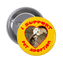Gatito de la adopción del mascota con el pitbull pins