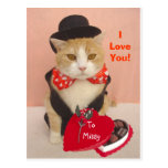 Gatito de la tarjeta del día de San Valentín Postal