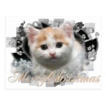 Gatito de las Felices Navidad - postales del día d tarjetas postales