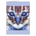 gatito de los ojos azules tarjetas
