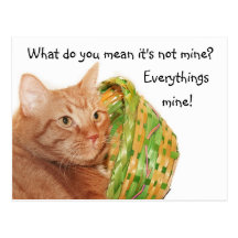 Gatito de Pascua Tarjetas Postales