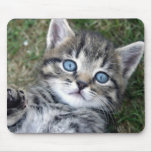 Gatito de plata de ojos azules adorable Mousepad d