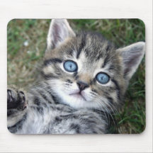 Gatito de plata de ojos azules adorable Mousepad d