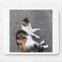 Gatito del calicó tapete de raton