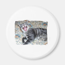 Gatito del canto iman de frigorífico