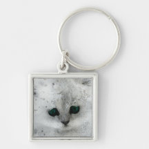 Gatito del Grunge Llavero Personalizado