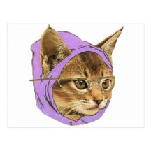 Gatito del inconformista postal