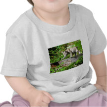 Gatito del lince en el vagabundeo camisetas