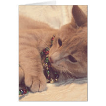 Gatito del navidad del vintage tarjetón