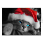 Gatito del navidad felicitacion 