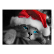 Gatito del navidad felicitacion 