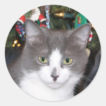 Gatito del navidad gris y blanco pegatina