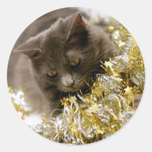 Gatito del navidad pegatinas redondas