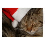 Gatito del navidad tarjeta
