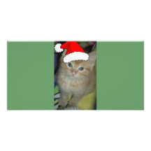 Gatito del navidad tarjetas fotográficas personalizadas