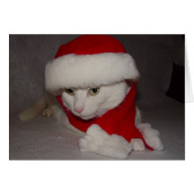 Gatito del navidad tarjetas