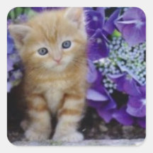 Gatito del pegatina con las flores