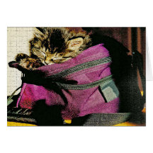 Gatito el dormir en un monedero de Borgoña Tarjeton