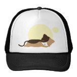 Gatito el dormir gorros  