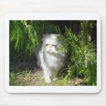 Gatito en la hierba tapetes de raton