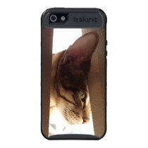 Gatito en las persianas funda skinit