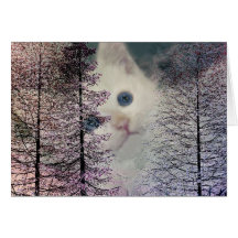 Gatito en maderas tarjeta