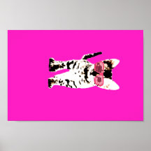 gatito en sombras rosadas poster